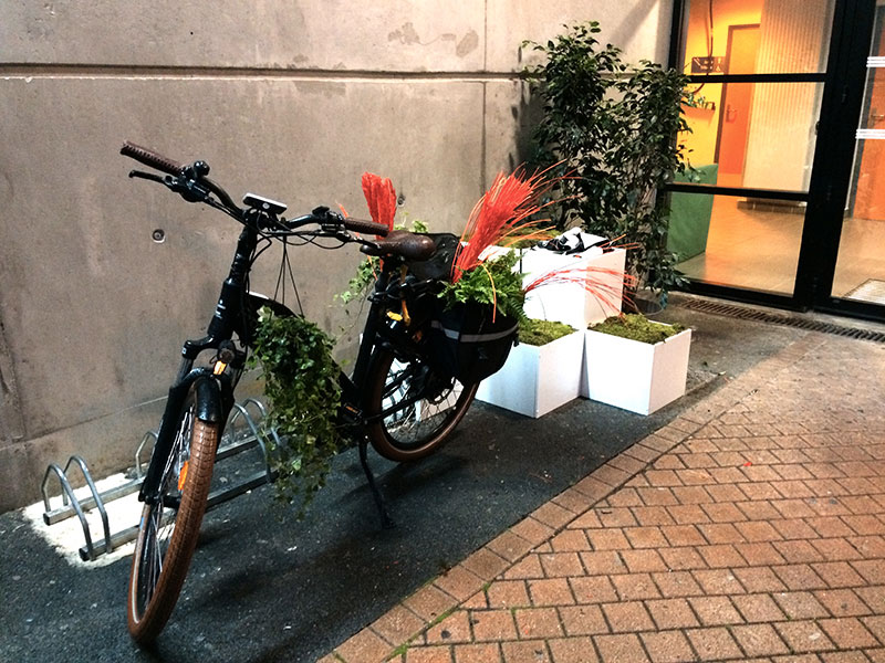 vélo avec végétation devant l'entrée d'un gymnase