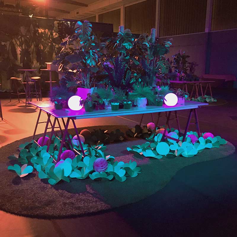table remplie de plantes verte avec des trfles en papier au sol